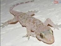 images - 2025-05-17T141213.902.jpeg