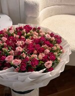 cbc1c582bd125fa37feb21c294e56caf.jpg