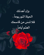 1747654691047.png