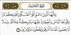 Screenshot_٢٠٢٥٠٥٢٣_١٠٠٣٣٨.jpg Screenshot_٢٠٢٥٠٥٢٣_١٠٠٣٣٨.jpg