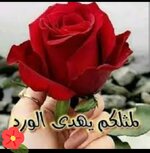 Screenshot_٢٠٢٥٠٥٣٠-١٨٤٥٣٦_Photo Editor.jpg