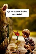 2ea972da47cf5709f28ec1a5d2c8e792.jpg