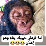 29336a94bb9ffdf1591becd8978739c2.jpg