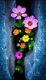 Screenshot_٢٠٢٥٠٦٠٢_١٤٢٠٣٤_Gallery.jpg Screenshot_٢٠٢٥٠٦٠٢_١٤٢٠٣٤_Gallery.jpg