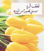 IMG_6313.jpeg