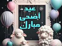 1000116952.jpg 1000116952.jpg