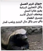 IMG_8680.jpeg