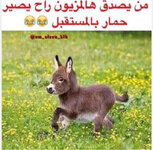 IMG_8682.jpeg