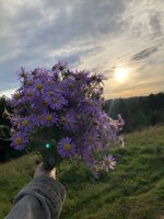 IMG_6561.jpeg