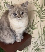 IMG_6615.jpeg