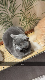 IMG_6611.jpeg