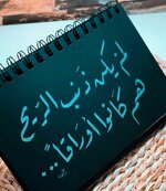 IMG_6672.jpeg