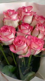 283eda89ec1b6d3c4335ee12a1159b15.jpg