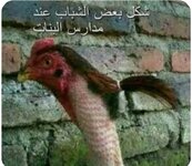 Screenshot_٢٠٢٥٠٦١٧-١٦٥١١٢_Google.jpg