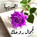 IMG_6729.jpeg