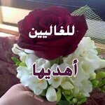 IMG_6725.jpeg