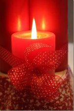 IMG_4525.jpeg