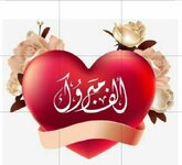 Screenshot_٢٠٢٥٠٦١٨-١٨٢٤١٦_Photo Editor.jpg