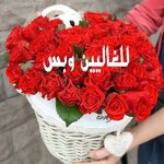 IMG_6737.jpeg