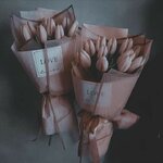 1000001848.jpg 1000001848.jpg