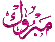 IMG_8065.gif