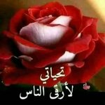 FB_IMG_1750545407710.jpg