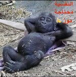 IMG_8794.jpeg