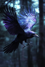 1750755271737.png