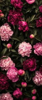 IMG_1484.jpeg