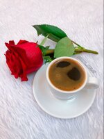 IMG_6931.jpeg