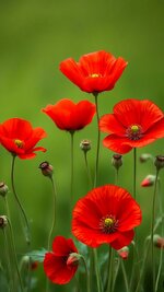 1751157804342.jpeg 1751157804342.jpeg