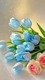 IMG-20250601-WA0380.jpg IMG-20250601-WA0380.jpg