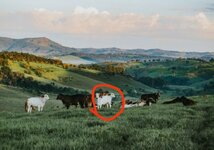 IMG_٢٠٢٥٠٧٠١_٢٠٤٦٣٧.jpg IMG_٢٠٢٥٠٧٠١_٢٠٤٦٣٧.jpg