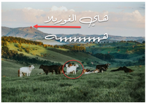 1751392298918.png 1751392298918.png