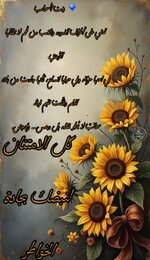 Picsart_25-07-07_16-48-37-399.jpg Picsart_25-07-07_16-48-37-399.jpg