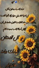 Picsart_25-07-07_15-30-43-877.jpg Picsart_25-07-07_15-30-43-877.jpg