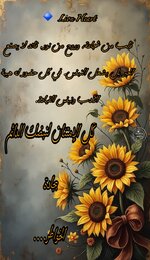 Picsart_25-07-07_14-09-43-070.jpg Picsart_25-07-07_14-09-43-070.jpg