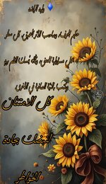 Picsart_25-07-07_15-26-14-436.jpg Picsart_25-07-07_15-26-14-436.jpg