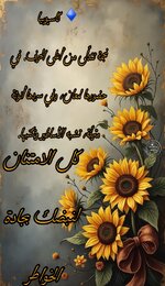 Picsart_25-07-07_15-25-29-719.jpg Picsart_25-07-07_15-25-29-719.jpg