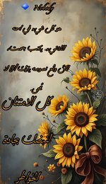 Picsart_25-07-07_14-37-56-517.jpg Picsart_25-07-07_14-37-56-517.jpg