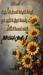 Picsart_25-07-07_14-13-19-949.jpg Picsart_25-07-07_14-13-19-949.jpg