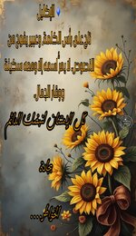 Picsart_25-07-07_14-11-40-508.jpg Picsart_25-07-07_14-11-40-508.jpg