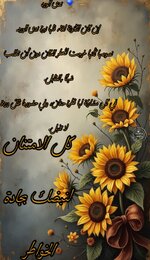 Picsart_25-07-07_16-47-16-241.jpg Picsart_25-07-07_16-47-16-241.jpg