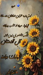 Picsart_25-07-07_15-24-12-544.jpg Picsart_25-07-07_15-24-12-544.jpg