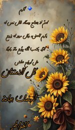 Picsart_25-07-07_15-23-40-440.jpg Picsart_25-07-07_15-23-40-440.jpg