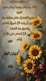 Picsart_25-07-09_13-01-43-391.jpg Picsart_25-07-09_13-01-43-391.jpg