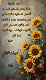 Picsart_25-07-09_14-10-24-309.jpg Picsart_25-07-09_14-10-24-309.jpg