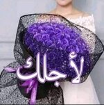 IMG_7221.jpeg IMG_7221.jpeg