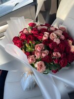 IMG_2642.jpeg