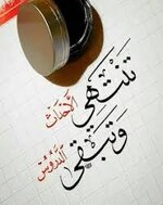IMG_0998.jpeg
